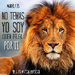 Profile Picture of Efrain Aviles (@efrain.aviles) on Instagram