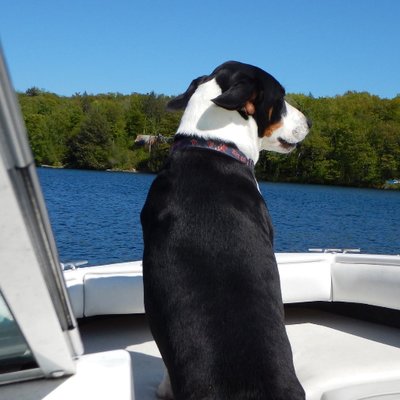 Profile Picture of Kim Mcardle (@mcardlekim5) on Twitter