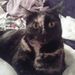Profile Picture of Vicky Carlton (@vcarlton1120) on Pinterest