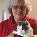 Profile Picture of Darlene O'Connor (@smilingdarlene) on Instagram