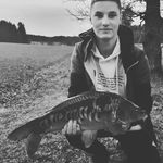 Profile Picture of David Hampel (@_hambl_) on Instagram