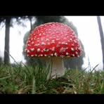 Profile Picture of Hortencia Lievano (@Hortencia-Lievano) on Facebook