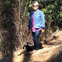 Profile Picture of Nancy Polacek (@nancyp2338) on Pinterest