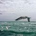 Profile Picture of Dmitry Agron (@dmitryagron) on Pinterest