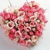 Profile Picture of deblamb1 (@@deblamb1) on Tiktok