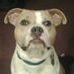 Profile Picture of Earl Beaty (@earl.beaty.94) on Facebook