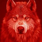 Profile Picture of Rudy Vidal (@rudy.vidal) on Instagram