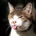 Profile Picture of Sherry Pearce (@sherry.pearce.3) on Facebook
