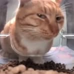 Profile Picture of Jacob Strom (@Jacob-Strom) on Facebook