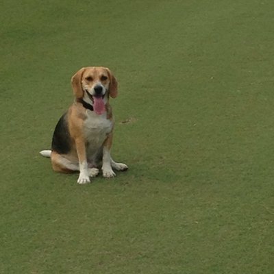 Profile Picture of Andrew Nagel (@nagel_13) on Twitter