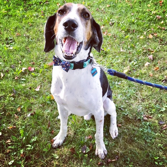 Profile Picture of Jessica Krips (@jessicakrips) on Poshmark