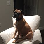 Profile Picture of Dave Coppola (@davecoppola2) on Instagram