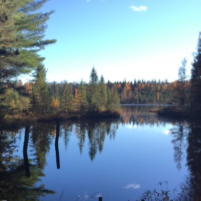 Profile Picture of Patrick Redding (@ptikredding) on Twitter