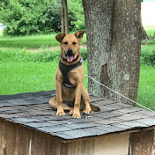 Profile Picture of Bryan Medrano (@bryanmedrano4821) on Youtube