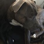 Profile Picture of Darnell Jones Jones (@darnelljonesjones) on Instagram