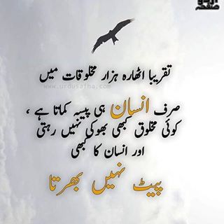 Profile Picture of Asim Abbas (@Asim-Abbas) on Facebook