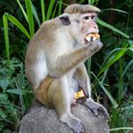 Profile Picture of MENZELLA ALEXANDER (@kxz630menzell) on Instagram