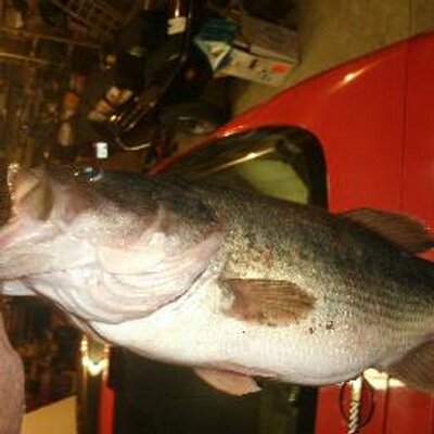 Profile Picture of Michael G Gilday (@gilrod46) on Twitter