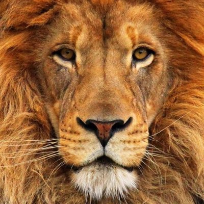 Profile Picture of Richard W. Hendricks (@richardwm15) on Twitter