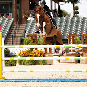 Profile Picture of Rebecca Buchanan (@BexaEquestrian4) on Youtube