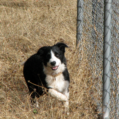 Profile Picture of Paul Jepsen (@plj4mt) on Twitter