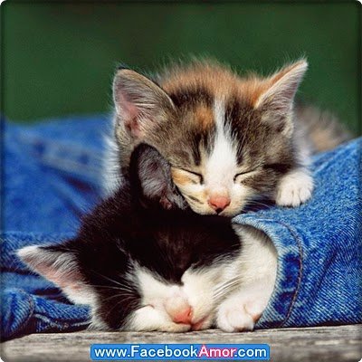 Profile Picture of Gregory (@18_jeb) on Twitter