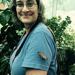 Profile Picture of stacy floyd (@stacyfloyd82) on Instagram