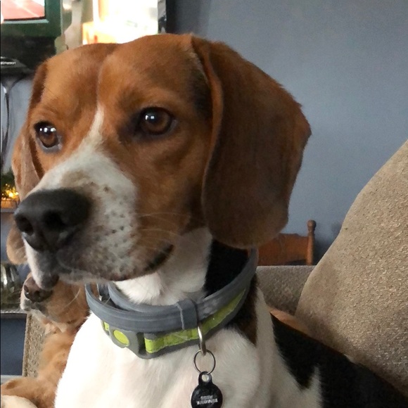 Profile Picture of Taylor Vanderwende (@tvanderwende) on Poshmark