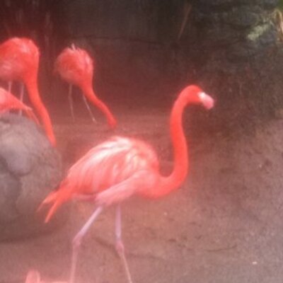 Profile Picture of Glenn Ritter (@G_Rit) on Twitter