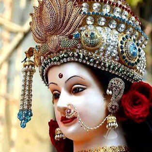 Profile Picture of Anju Tyagi (@anjutya81020589) on Twitter