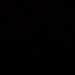 Profile Picture of james quillen (@jjquillen13) on Instagram