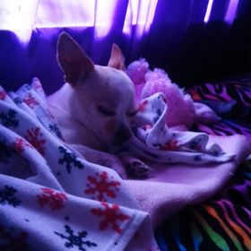 Profile Picture of Jacob Rimmel (@jacobrimmel) on Pinterest