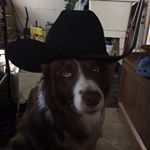 Profile Picture of brandon_zell (@brandon_zell) on Instagram