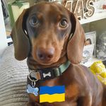 Profile Picture of Sandra Shanks (@sandrashanks) on Instagram