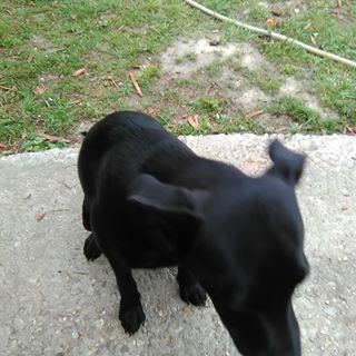 Profile Picture of James Menona (@james.menona.71) on Facebook