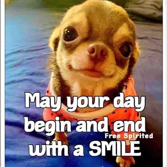 Yajaira Reyes - Poshmark Profile Picture of Yajaira Reyes (@jayrosado1482) on Poshmark