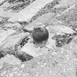 Profile Picture of david kadeřavek (@kaderavek_david) on Instagram