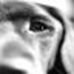 Profile Picture of Andrew Ross (@afross) on Flickr