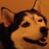 Profile Picture of James Harvey (@james-harvey-133) on Quora