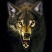 Profile Picture of Austin s. (@austinstubbs17) on Pinterest