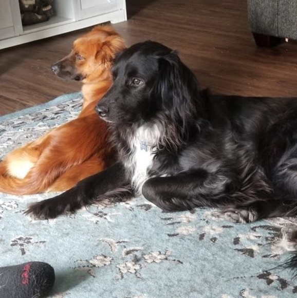 Profile Picture of Cathy Rosenfarb (@snoopy57123) on Poshmark