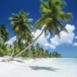 Profile Picture of Claude Celestine (@claudi972) on Instagram