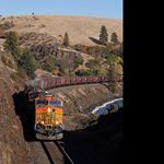 Profile Picture of angelo_pierrep (@angelo_pierrep) on Instagram