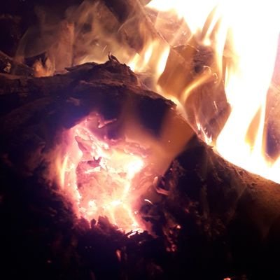 Profile Picture of Guillermo Alfredo Brown (@gabrown65) on Twitter