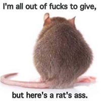 Profile Picture of Mike Warman (@mike-warman-4) on Quora