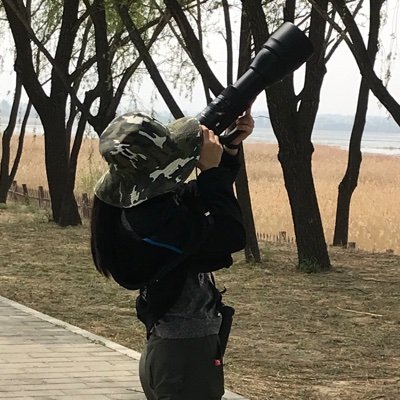 Profile Picture of ArielChen (@ArielChenYZ) on Twitter