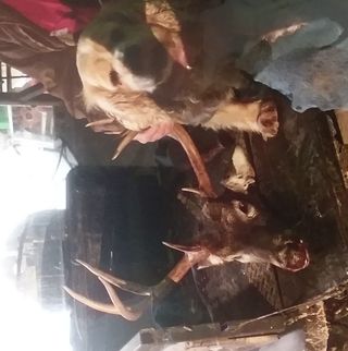 Profile Picture of Skeeter Sykes (@skeeter.sykes) on Facebook