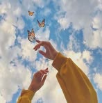 Profile Picture of Sherine Ibrahim (@Sherine-Ibrahim) on Facebook