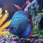 Profile Picture of Gordon Van Heerden (@gordonvanheerden) on Instagram