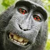 Profile Picture of Alejandro Esquivel (@alejandroesquivel4972) on Youtube